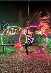 [P-00729] BOLA NAVIDAD NEON FRAME SPOT
